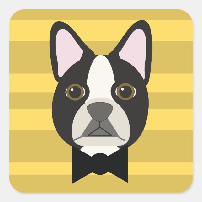 Boston Terrier Square Sticker (Front)