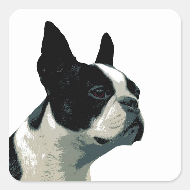 Boston Terrier Square Sticker (Front)