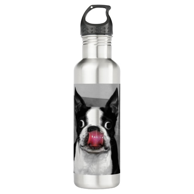 Boston Terrier Stainless Steel Water Bottle (Front)