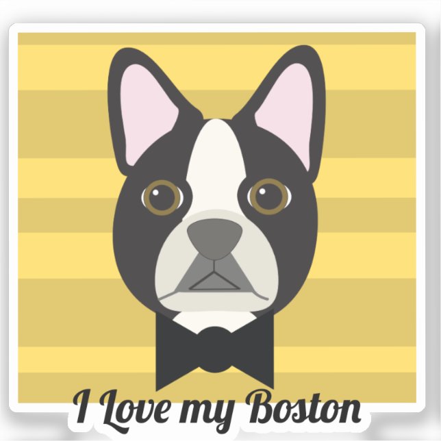 Boston Terrier Sticker (Front)