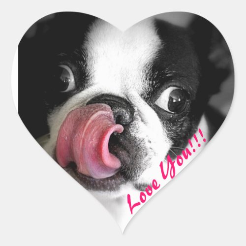 Boston Terrier Stickers