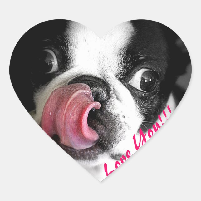 Boston Terrier Stickers (Front)