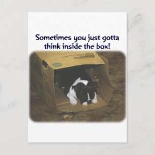 Boston Terrier: Think Inside the Box Postcard