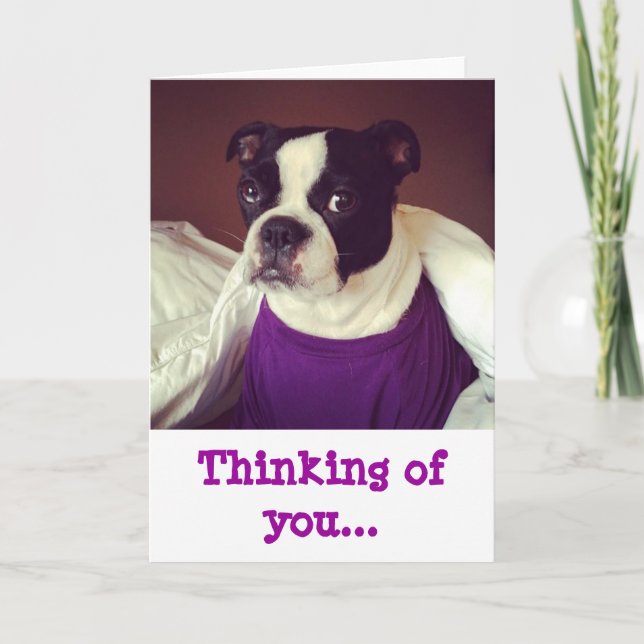 Boston Terrier-Thinking Of You Card (Front)