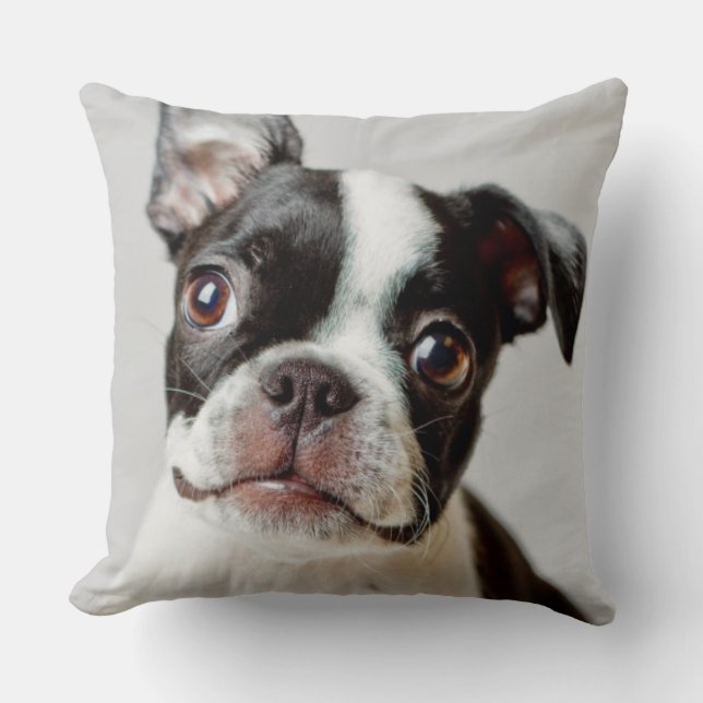 Boston Terrier Throw Pillow (Front)