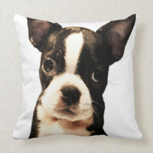 BoSTON TERRiER Throw Pillow
