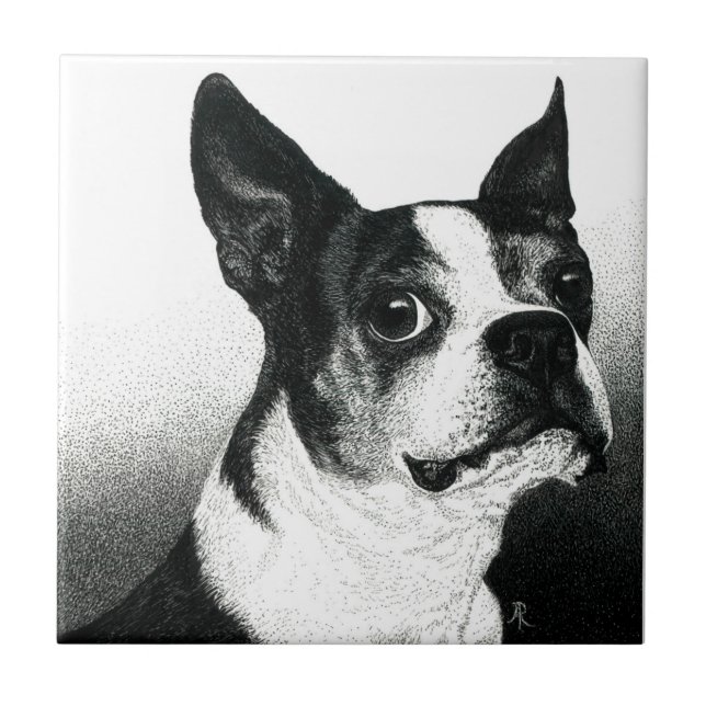 Boston Terrier Tile - "Boston Style" (Front)