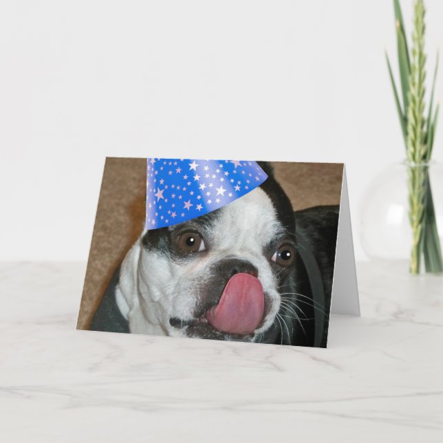 Boston Terrier Tongue Happy Birthday Card (Front)