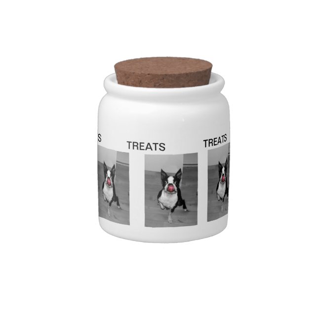 BOSTON TERRIER TREAT JAR (Right)