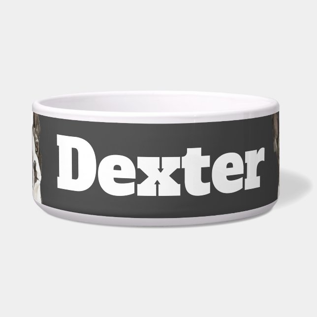 Boston Terrier triangle Bowl (Front)