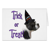 Boston Terrier Trick (Front Horizontal)
