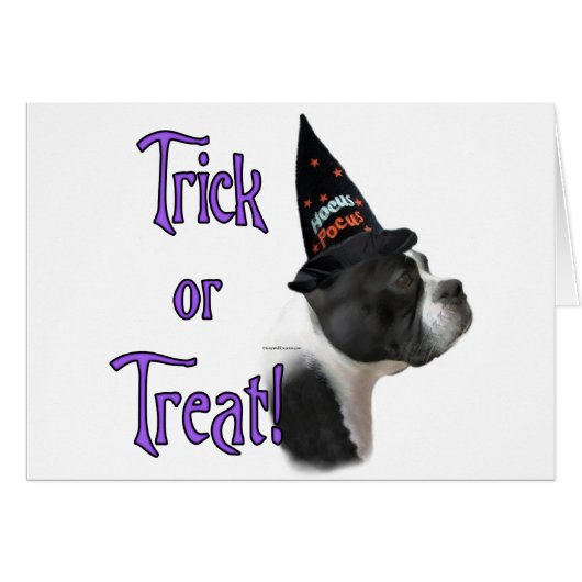 Boston Terrier Trick Cards (Front Horizontal)