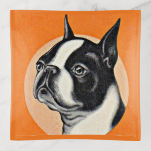 Boston terrier trinket tray
