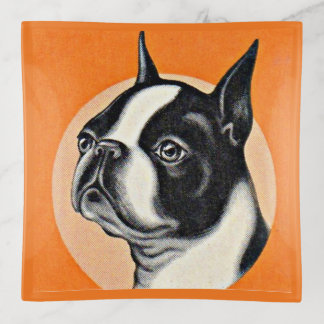 Boston terrier trinket tray