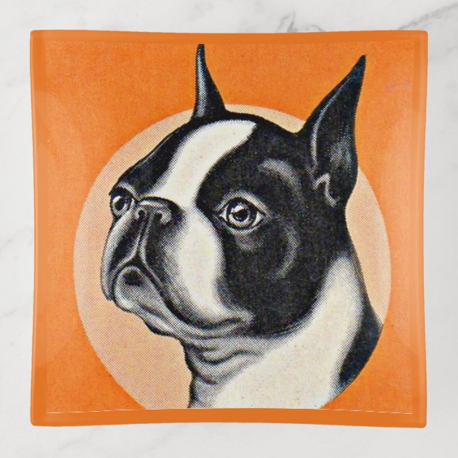 Boston terrier trinket tray (Front)