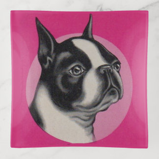 Boston terrier trinket tray