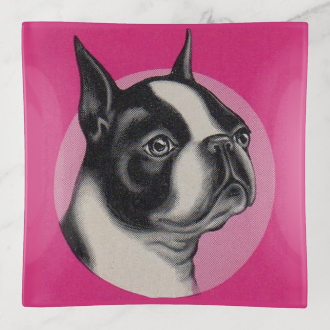 Boston terrier trinket tray (Front)