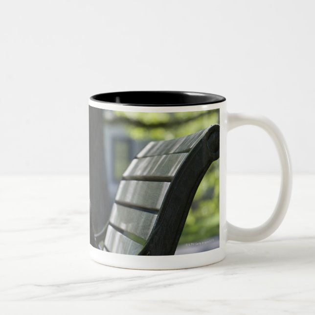 Boston Terrier Two-Tone Coffee Mug (Right)