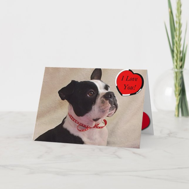 Boston Terrier Valentine Card (Front)