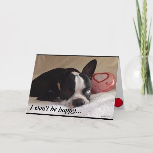 Boston Terrier Valentines Day Card