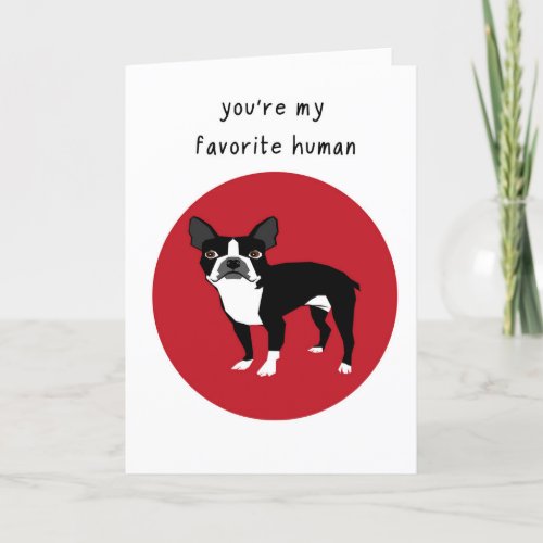 Boston Terrier Valentines Day Card