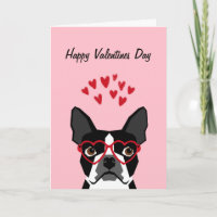 Boston store terrier love