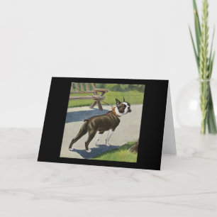 Boston Terrier Vintage Greeting Card