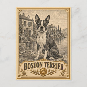 Boston Terrier, Vintage Heritage Dog Postcard