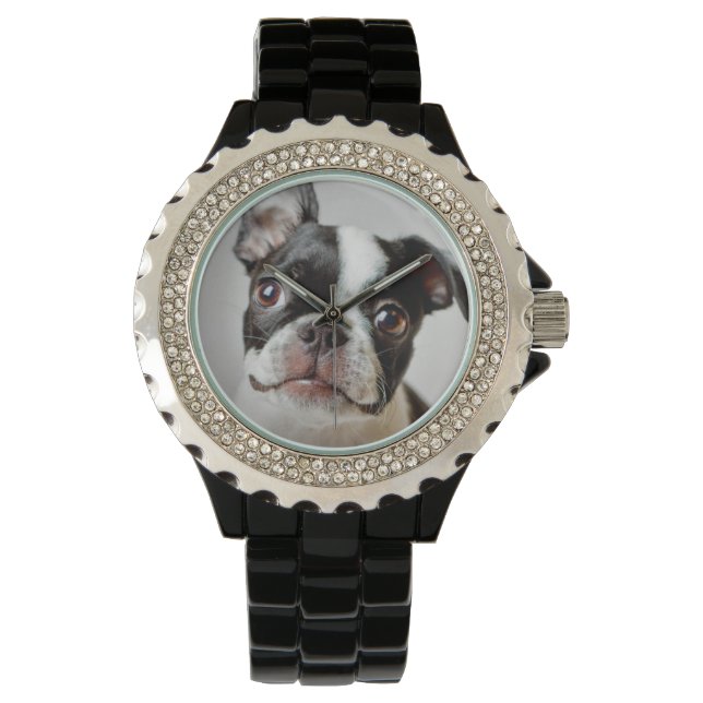 Boston Terrier Watch (Front)