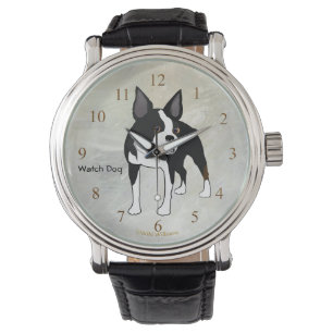 Boston Terrier Watch Dog