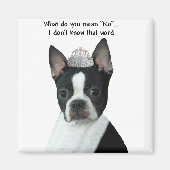 Boston Terrier:  What Do You Mean "No"? Magnet (Front)