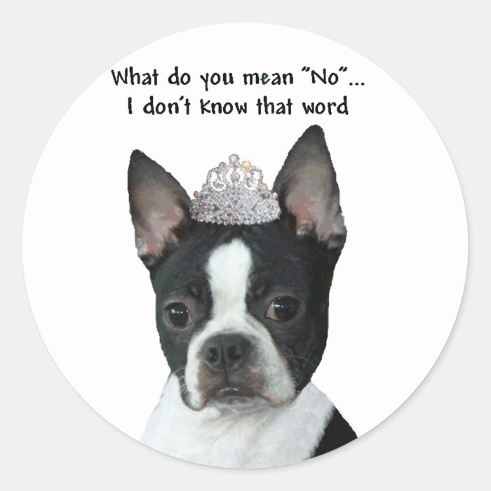 Boston Terrier  What Do You Mean "No"? Stickers