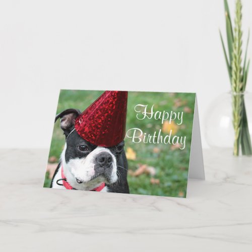 Boston terrier with a birthday hat card
