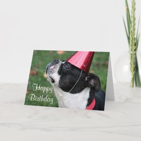 Boston terrier with a birthday wish card | Zazzle.com