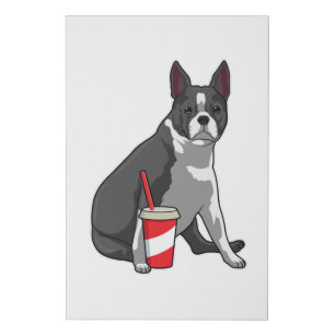 Boston Terrier with Drink Faux Canvas Print