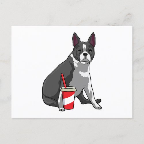 Boston Terrier with Drink Postcard