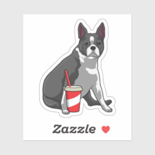 Boston Terrier with Drink Sticker