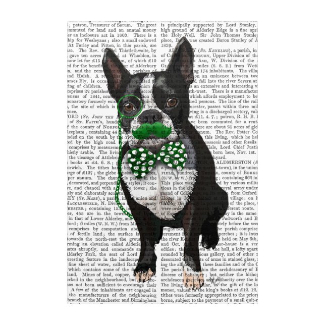 Boston Terrier With Green Moustache Acrylic Print (Front)