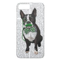 Boston Terrier With Green Moustache And Spotty