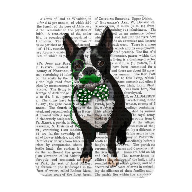Boston Terrier With Green Moustache And Spotty Magnet (Vertical)