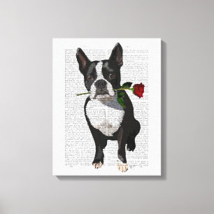 Boston Terrier with Rose in Mouth Canvas Print