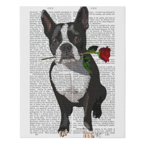 Boston Terrier with Rose in Mouth Faux Canvas Print
