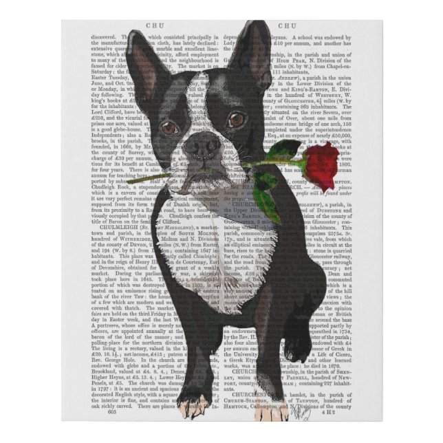 Boston Terrier with Rose in Mouth Faux Canvas Print (Front)
