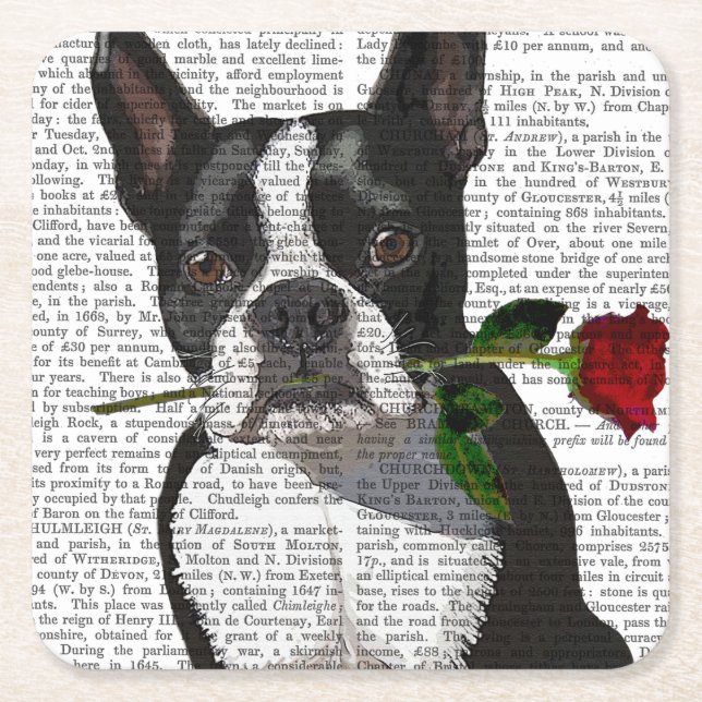 Boston Terrier with Rose in Mouth Square Paper Coaster (Front)