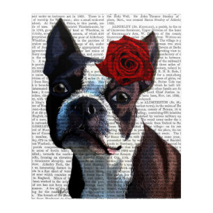 Boston Terrier with Rose on Head Acrylic Print