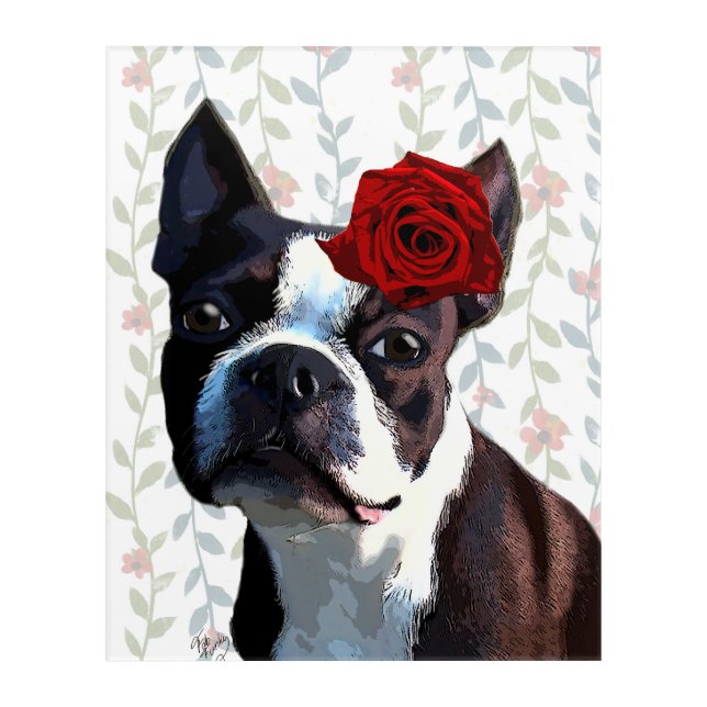 Boston Terrier with Rose on Head Acrylic Print (Front)