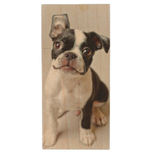 Boston Terrier Wood USB Flash Drive
