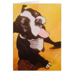Boston Terrier Yellow Looking Up Cards