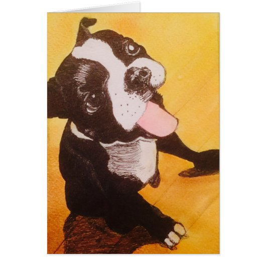 Boston Terrier Yellow Looking Up Cards (Front)
