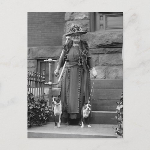 Boston Terriers  1920s Fashion Postcard